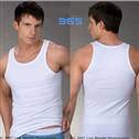 T-shirt e colete CK 11 de abril